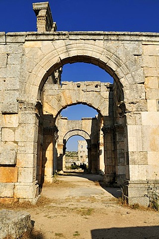 Byzantine ruin of the Church of Saint Simeon Stylites, Qal'at Sim'an, Qalaat Seman archeological site, Dead Cities, Syria, Middle East, West Asia