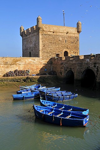 Portuguese fortress in the old town of Essaouira, Unesco World Heritage Site, Morocco, North Africa, Africa