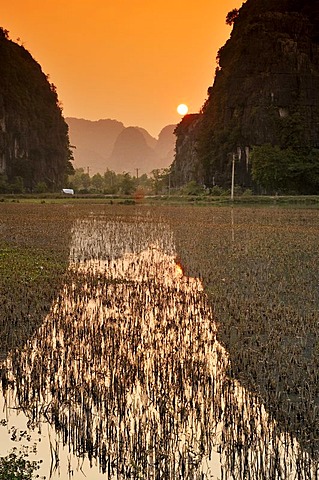 Tam Coc region near Ninh Binh, dry Halong Bay, Vietnam, Southeast Asia, Asia