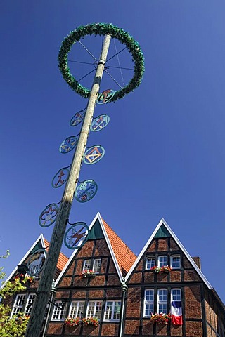 Symbols of craftsmen, maypole at Spiekerhof, Muenster, North Rhine-Westphalia, Germany, Europe