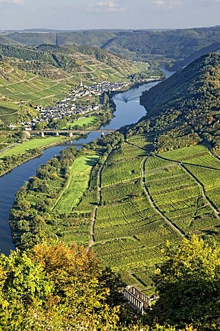 Moselschleife, Moselle loop, Bremm, Rhineland-Palatinate, Germany, Europe