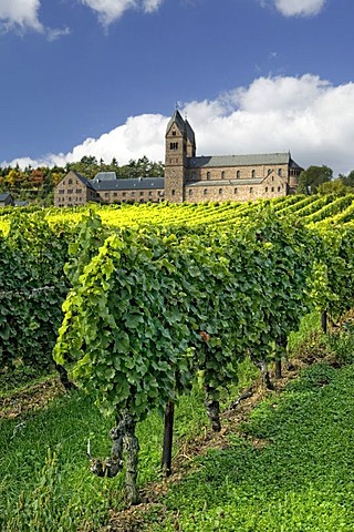 The monastery of St. Hildegard with vineyards in Ruedesheim, founded by Hildegard von Bingen, Rheinland Pfalz, Germany, Europe