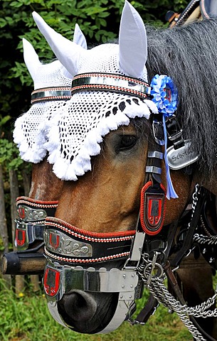 Festively decorated horse of the Spatenbrauerei brewery, parade in traditional costume at the Loisachgaufest festival in Neufahrn, Upper Bavaria, Bavaria, Germany, Europe