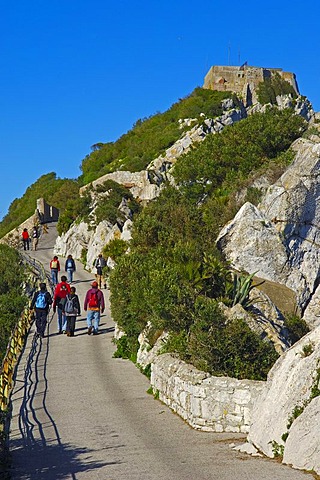 People walking to the top of The Rock of Gibraltar, British overseas territory, Iberian Peninsula, Europe