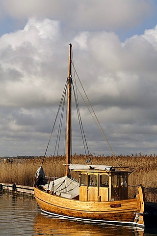 Traditional, small wooden boat anchored in a harbour on the bodden, morning mood, holiday area of Born am Darss, Fischland-Darss-Zingst, Mecklenburg-Western Pomerania, Germany, Europe