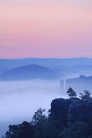 Fog at dawn over Nassen Grund, Elbe Sandstone Mountains, Saxon Switzerland, Saxony, Germany, Europe