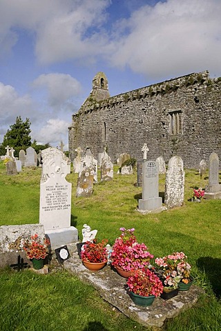 Dominican monastery ruins, Lorrha, County Tipperary, Munster, Ireland, Europe