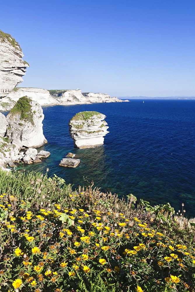 Free-standing rock Grain de Sable on the rocky coast near Bonifacio, Strait of Bonifacio, Corsica, France, Europe