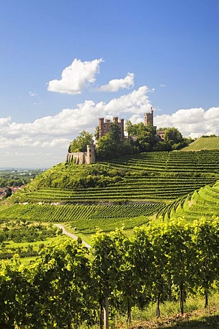 Ortenberg Castle, near Offenburg, Black Forest, Baden-Wuerttemberg, Germany, Europe