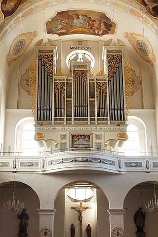 Organ in the St. Peter's Basilica, Dillingen an der Donau, Donauried region, Swabia, Bavaria, Germany, Europe