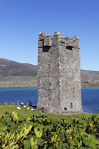 Carrickahowley Castle, Granuaile's Tower, Cloghmore, Achill Island, County Mayo, Connacht province, Republic of Ireland, Europe