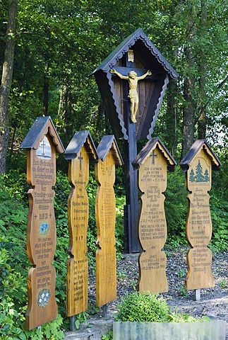 Dead boards near Cham, Bavarian Forest National Park, Lower Bavaria, Germany, Europe