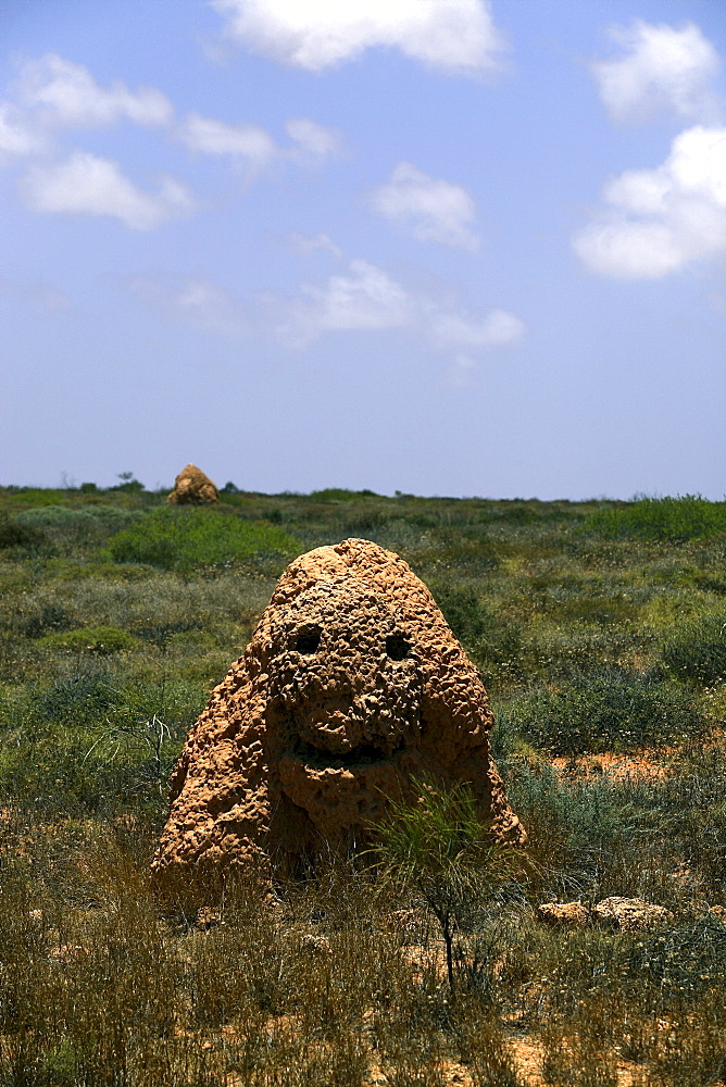 Giant ant hill or termite nest, Western Australia, Australia