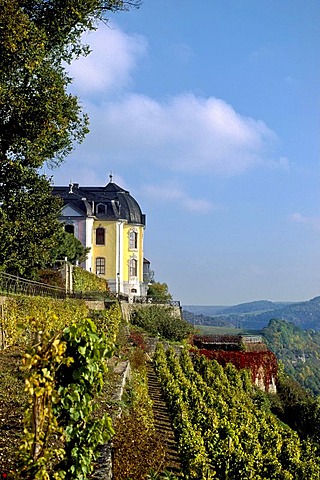 Rokokoschloss castle and vineyards, Dornburger Schloesser castles, Dornburg-Camburg, Thuringia, Germany Europe