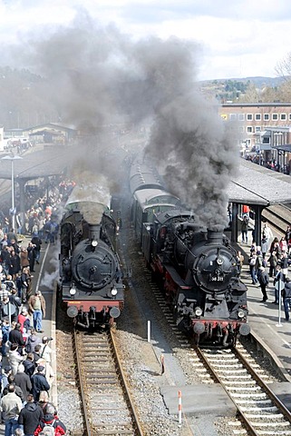 Dampfspektakel 2010 steam train show at Gerolstein station, passenger train engine 2455 Posen, left, and freight train engine 58311, right, Gerolstein, Rhineland-Palatinate, Germany, Europe