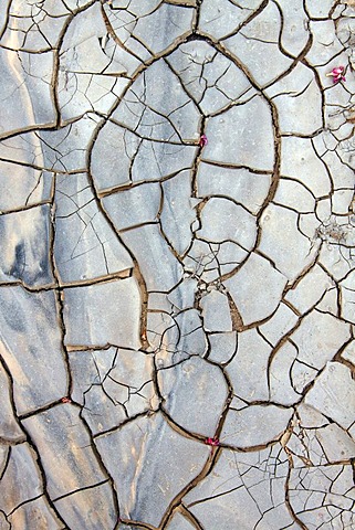 Desiccation cracks in a riverbed in the desert, Wadi in the Dana Nature Reserve near Feynan, Hashemite Kingdom of Jordan, Middle East, Asia