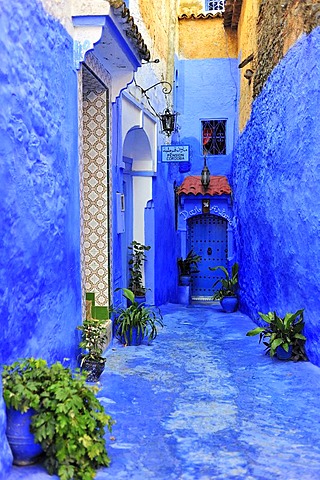 Narrow alley painted blue with the medina of Chefchaouen, Riff Mountains, Morocco, Africa