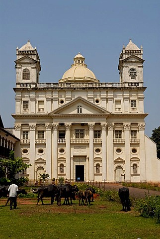 Cathedral, Old Goa, India, Asia