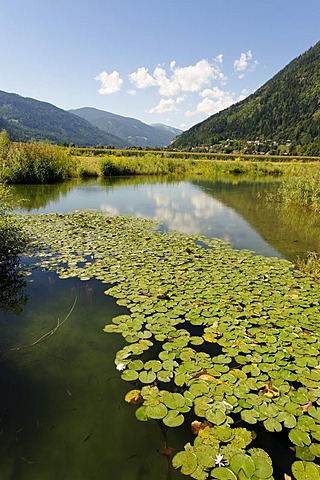 End of the Ossiacher See lake, west bank, Carinthia, Austria, Europe