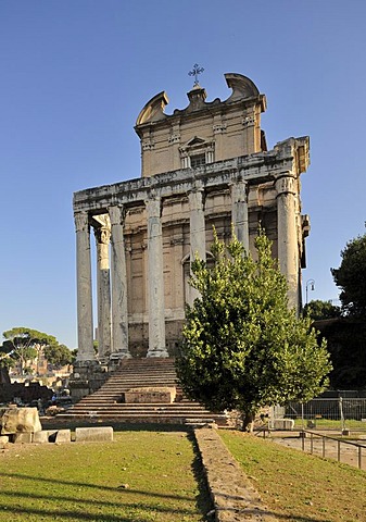 Temple of Antoninus Pius and Faustina in the Roman Forum, Rome, Italy, Europe