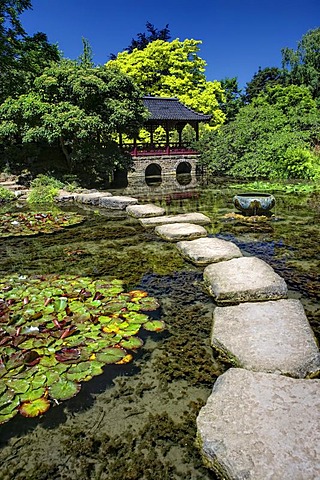 Japanese Garden in Leverkusen, North Rhine-Westphalia, Germany, Europe