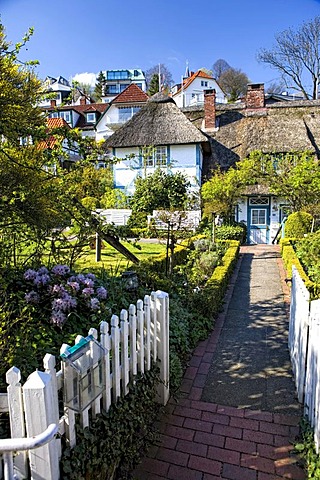 Houses in the Treppenviertel quarter near the Suellberg hill, Blankenese district, Hamburg, Germany, Europe