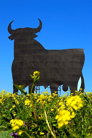 Bull silhouette, typical advertising of Spanish sherry Osborne, Malaga, Andalusia, Spain, Europe