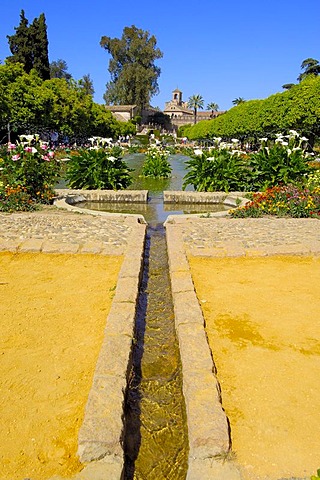 The gardens of Alcazar de los Reyes Cristianos, Alcazar of Catholic Kings, Cordoba, Andalusia, Spain, Europe