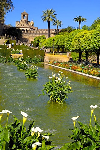 The gardens of Alcazar de los Reyes Cristianos, Alcazar of Catholic Kings, Cordoba, Andalusia, Spain, Europe