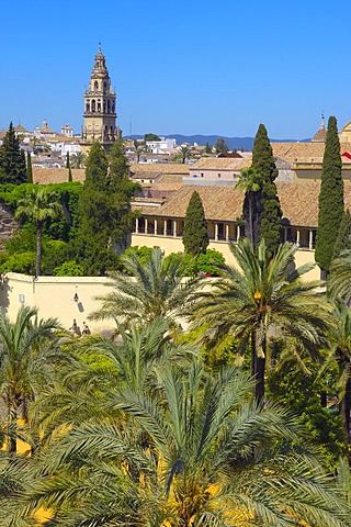 Alcazar de los Reyes Cristianos, Alcazar of Catholic Kings, and minaret tower of the Great Mosque, Cordoba, Andalusia, Spain, Europe