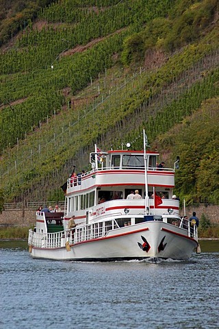 Boat on the Moselle river, in front of vineyard, Rhineland-Palatinate, Germany, Europe