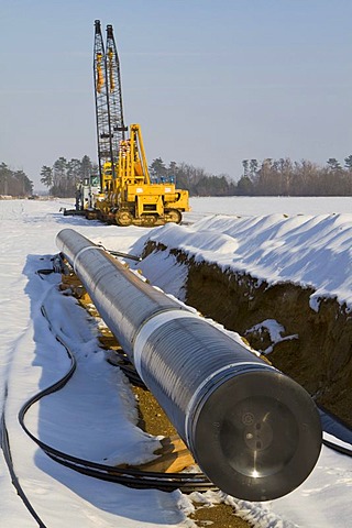 Pipes of a pipeline in front of tracked vehicles for laying a pipeline, Marchfeld, Lower Austria, Austria, Europe