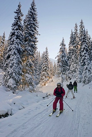 Skiers in the forest, Austria, Europe