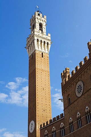 Town hall tower, Palazzo Pubblico, Piazza del Campo, Siena, Tuscany, Italy, Europe