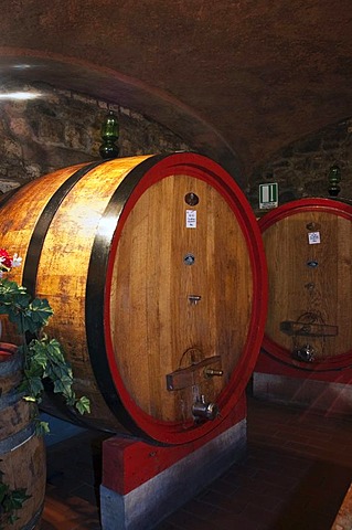 Wine barrel, wine cellar in the Brunello winery, Fattoria dei Barbi, Podernovi, Montalcino, Tuscany, Italy, Europe