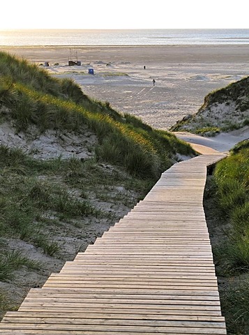 Wooden nature pathway through the sand dunes to the Norddorf beach, island of Amrum, Schleswig-Holstein, Germany, Europe