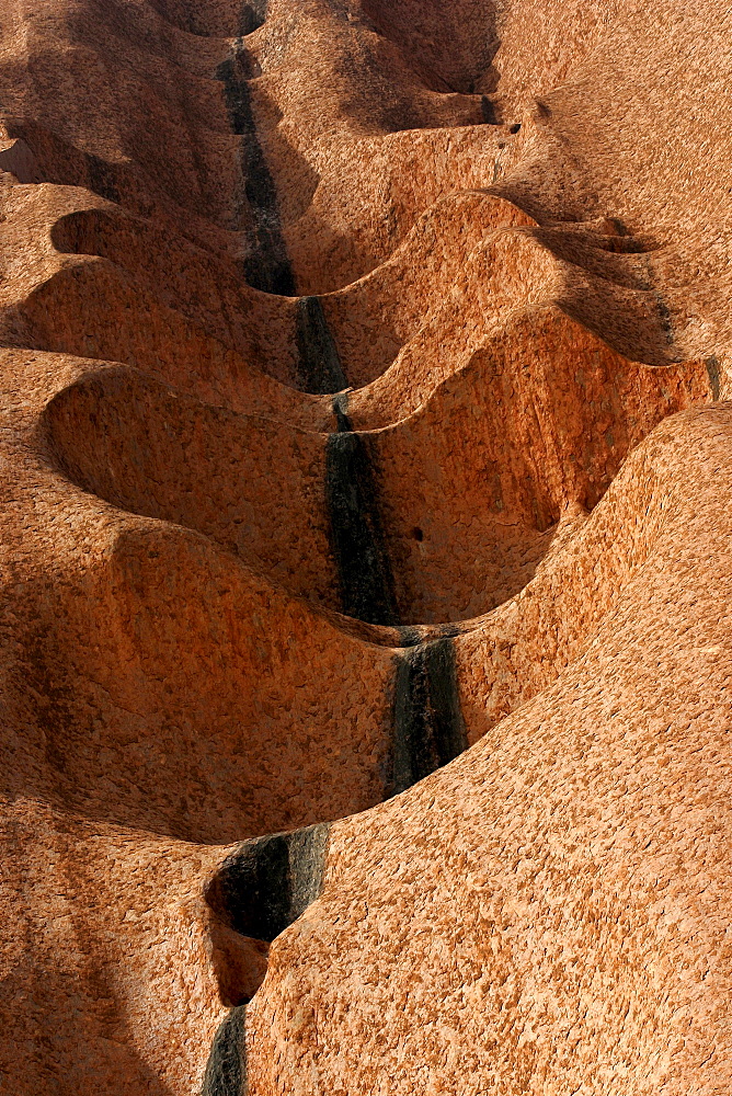 Detail of Uluru, Ayers Rock, Uluru National Park, Northern Territory, Australia