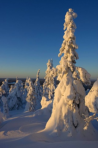 Winter landscape at Mt. Iivaara, Kuusamo region, Finland, Europe