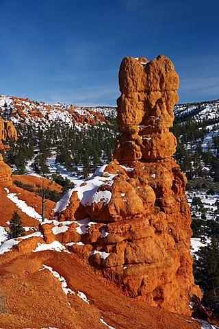 Red Rock Canyon in winter, Utah, USA