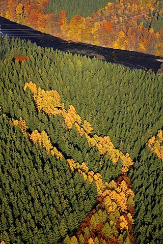 Aerial shot, Heilenbeck Dam, mixed forest, autumn, Ennepetal, Bergisches Land, North Rhine-Westphalia, Germany, Europe