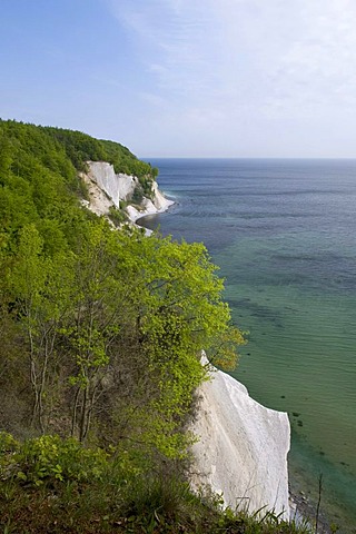 Wissower Klinken chalk cliffs, in the Jasmund National Park, Ruegen island, Mecklenburg-Western Pomerania, Germany, Europe