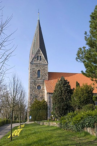 Romanic, 800-year-old stone church in the Borby district, Eckernfoerde, Schleswig-Holstein, Germany, Europe