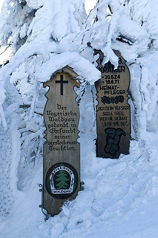 Snowy dead boards on the Grosser Arber, 1456m, Bavarian Forest Nature Park, Bavaria, Germany, Europe