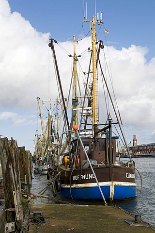 Fishing boat in the old fishing port, North Sea resort Cuxhaven, Lower Saxony, Germany, Europe