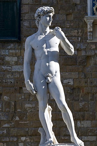 Statue of David by Michelangelo, Palazzo Vecchio, Florence, Tuscany, Italy, Europe