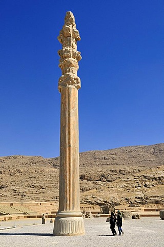 Huge column at the Achaemenid archeological site of Persepolis, UNESCO World Heritage Site, Persia, Iran, Asia