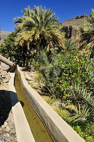 Traditional Falaj canal at Wadi Misfah, Hajar al Gharbi Mountains, Dhakiliya Region, Sultanate of Oman, Arabia, Middle East