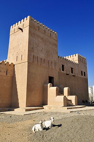 Historic adobe fortification, watchtower of Al Ayjah Castle or Fort in Sur, Al Sharqiya Region, Sultanate of Oman, Arabia, Middle East