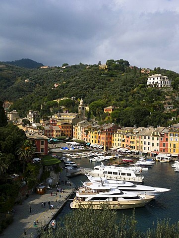 View of Portofino, harbor, Riviera, Liguria, Italy, Europe