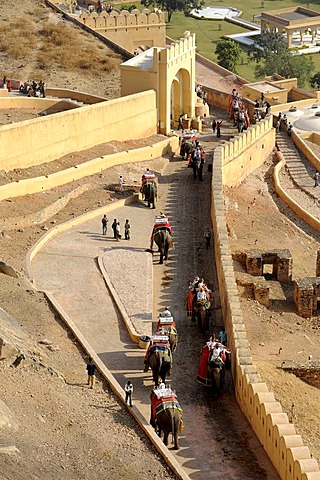 Elephant ride at the Palace of Amber, Amber, near Jaipur, Rajasthan, North India, India, South Asia, Asia